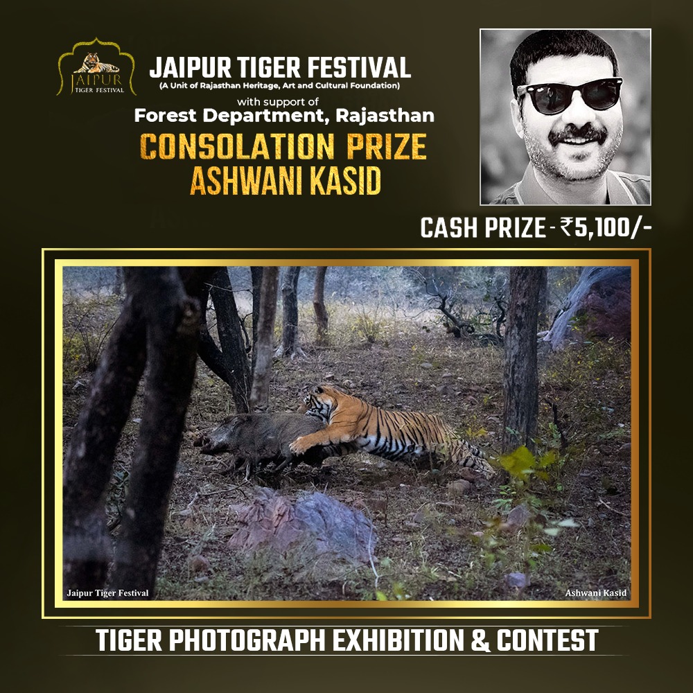 Photograph by Winner Name, Consolation Award