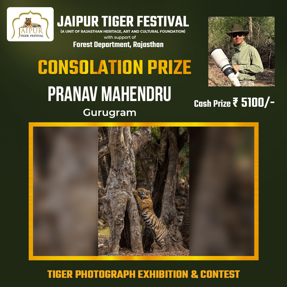 Photograph by Winner Name, Consolation Award