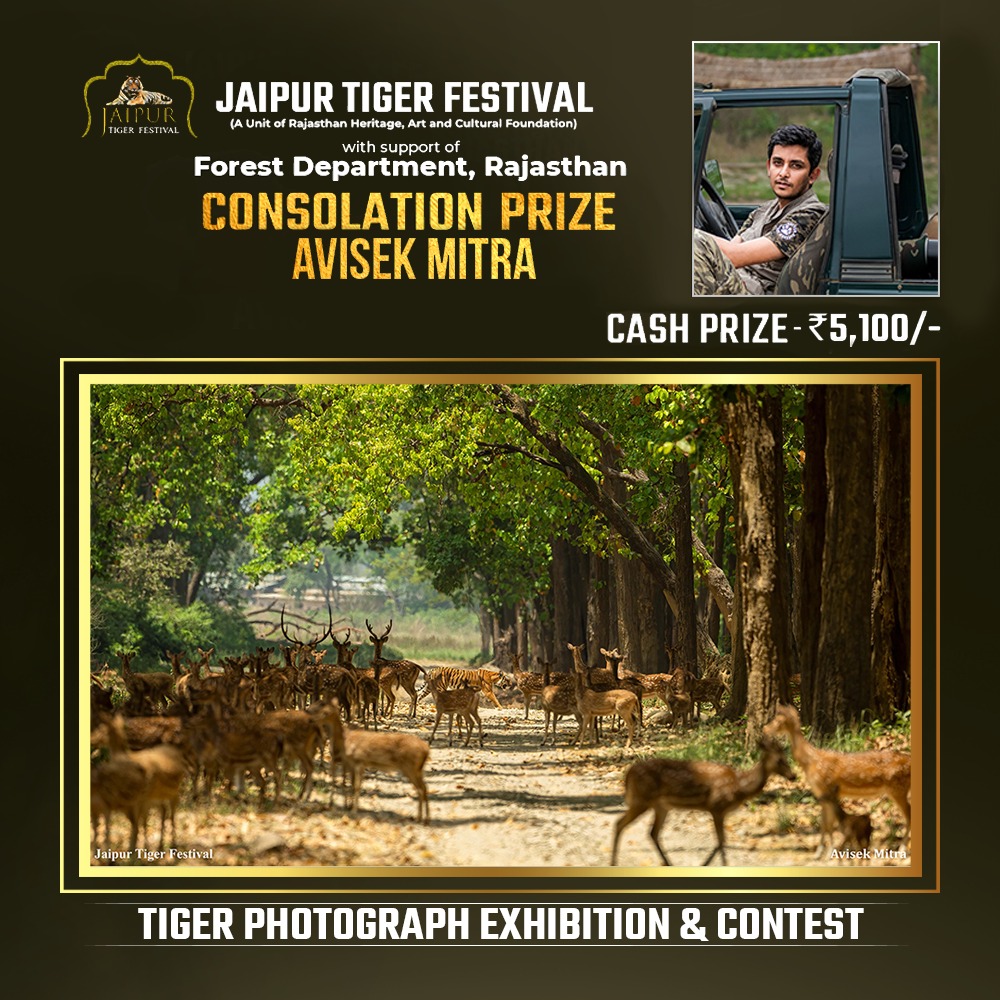 Photograph by Winner Name, Consolation Award