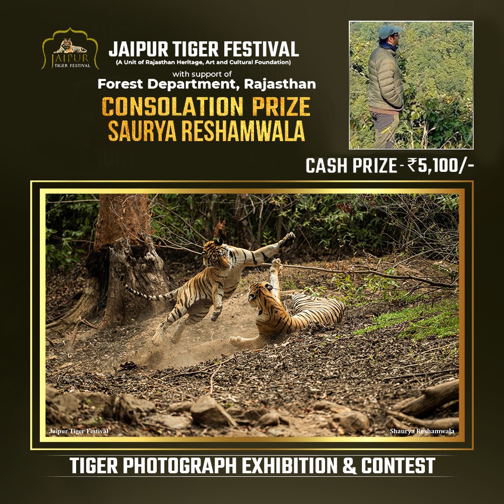 Photograph by Winner Name, Consolation Award