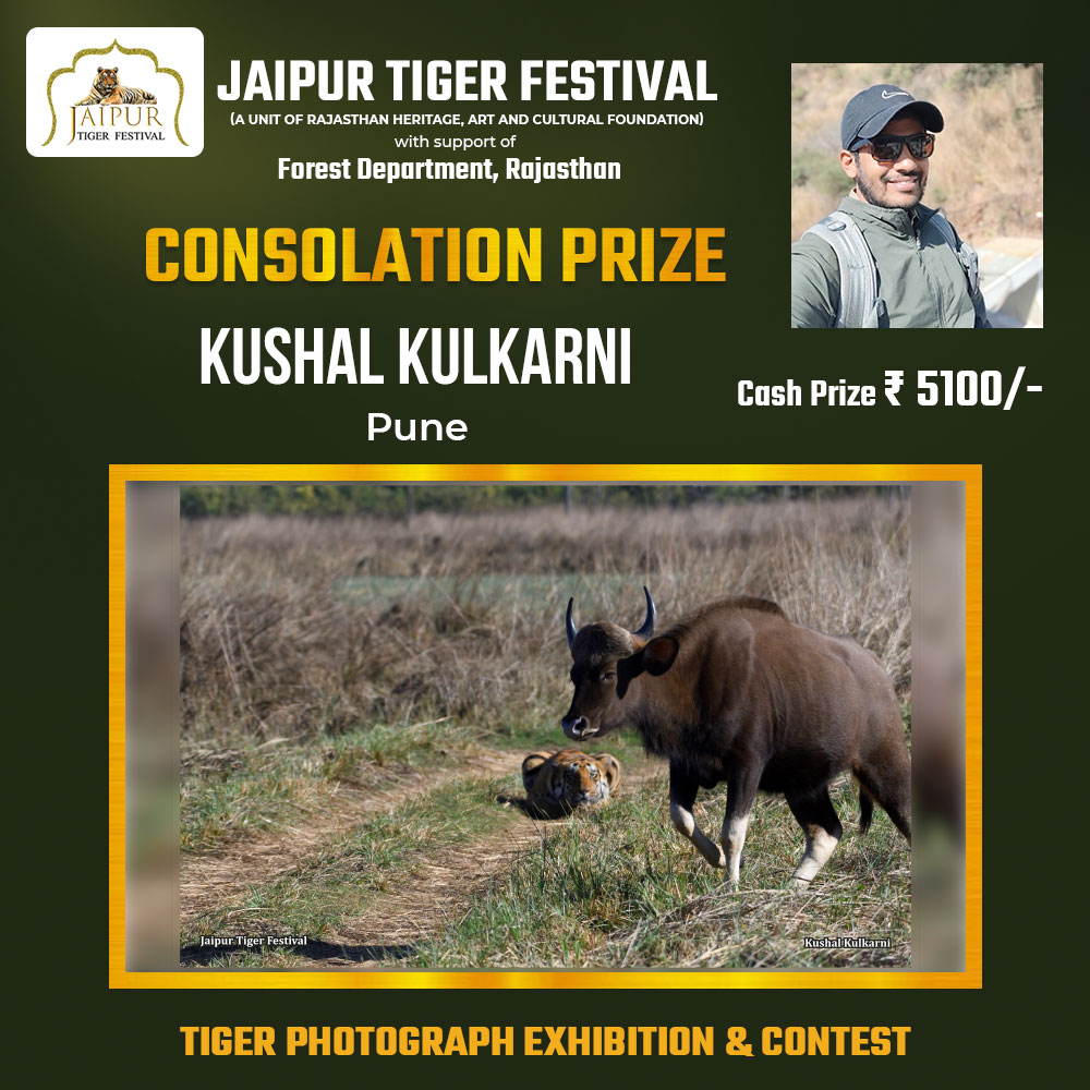 Photograph by Winner Name, Consolation Award