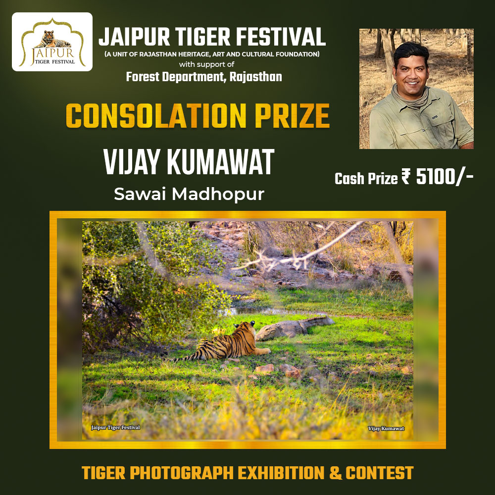 Photograph by Winner Name, Consolation Award