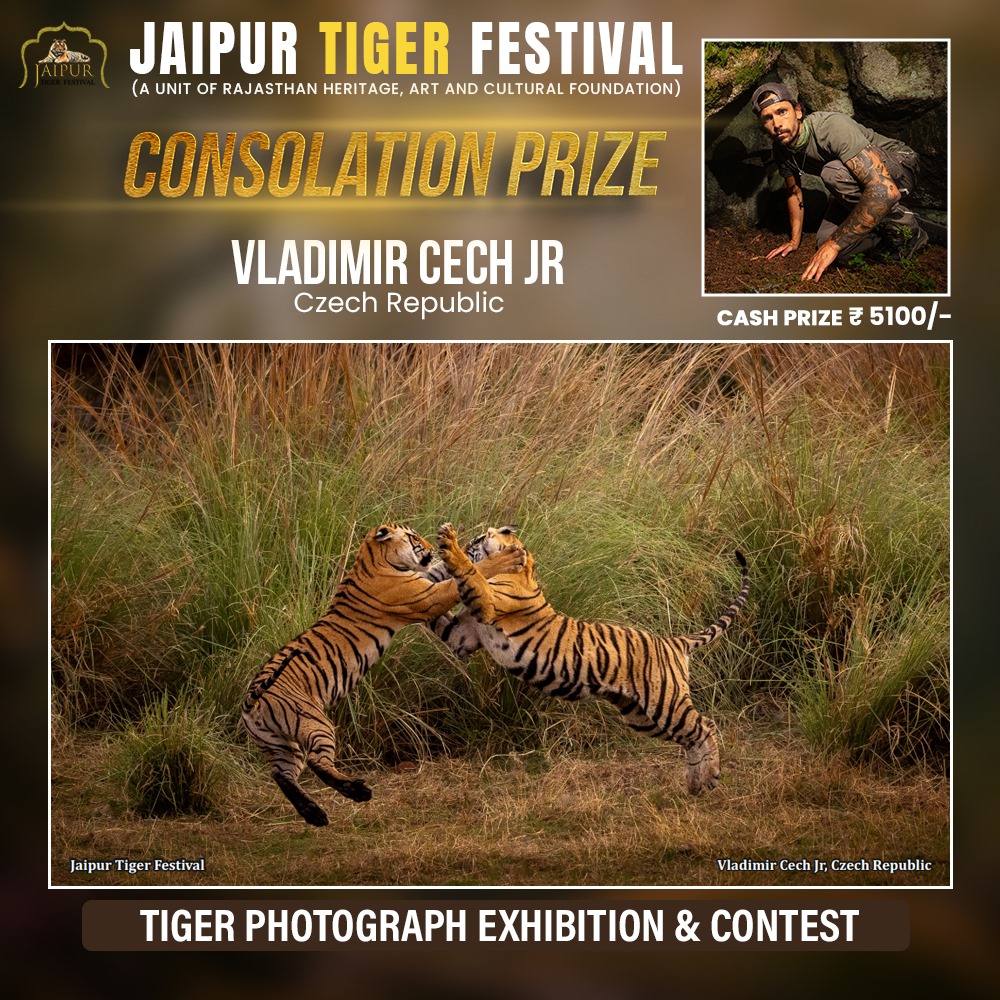 Photograph by Winner Name, Consolation Award