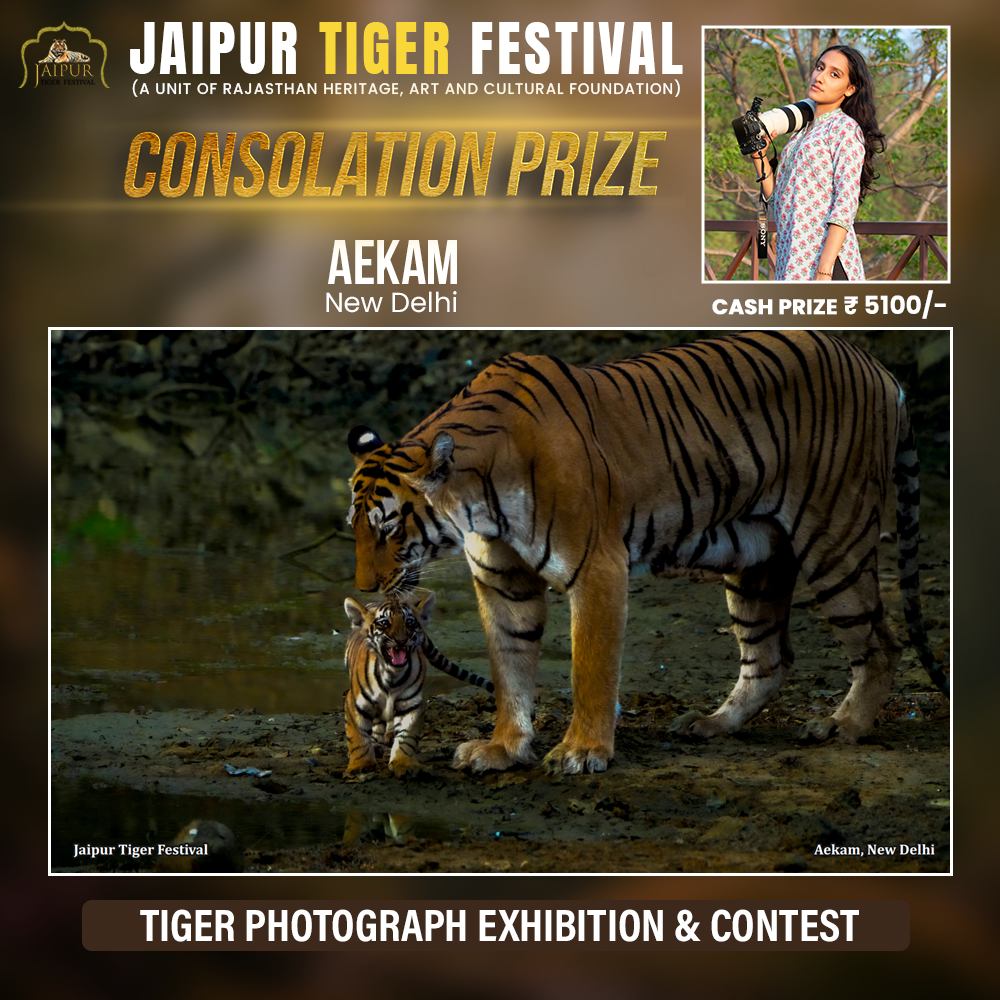 Photograph by Winner Name, Consolation Award