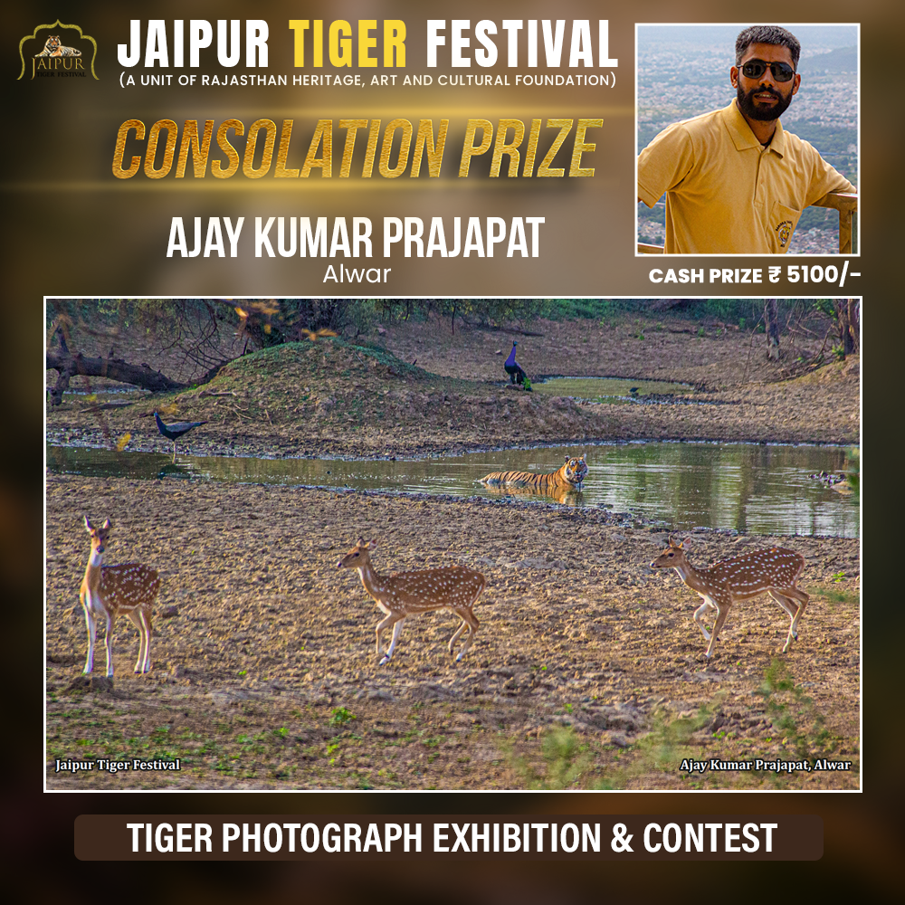 Photograph by Winner Name, Consolation Award