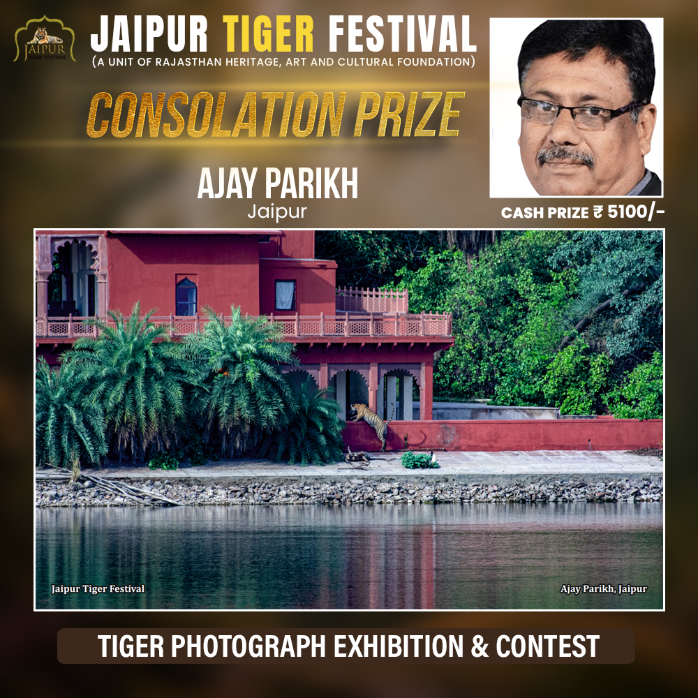 Photograph by Winner Name, Consolation Award