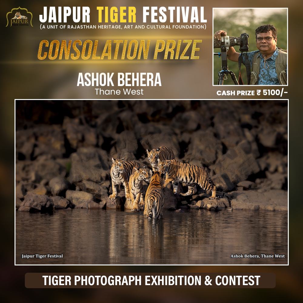 Photograph by Winner Name, Consolation Award