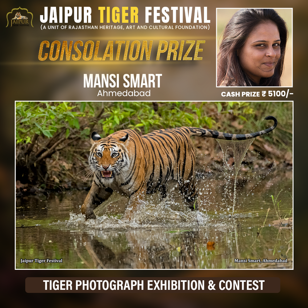 Photograph by Winner Name, Consolation Award