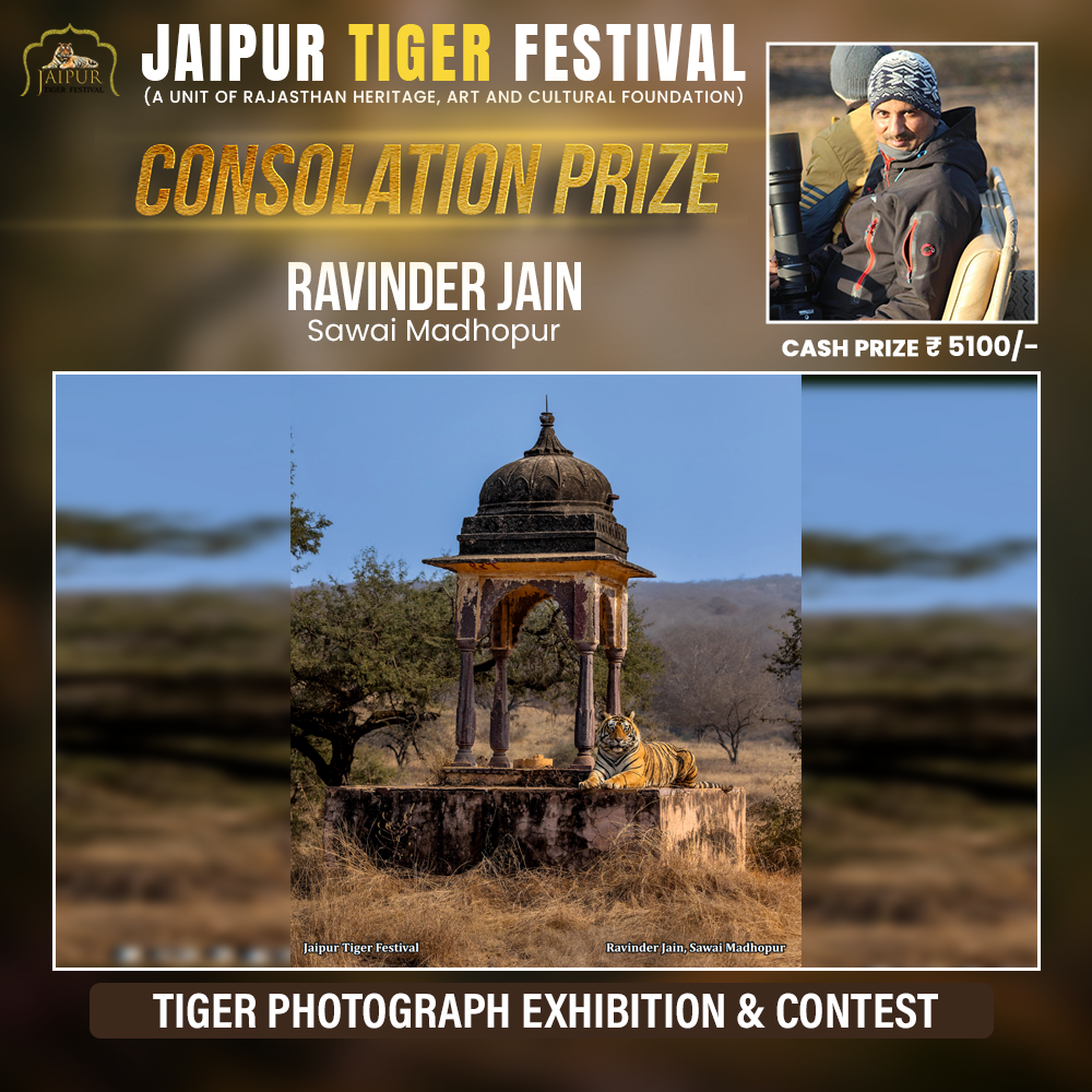 Photograph by Winner Name, Consolation Award
