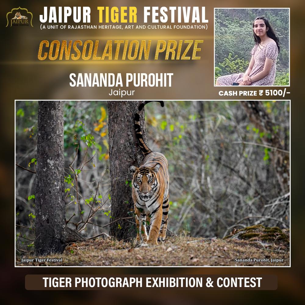 Photograph by Winner Name, Consolation Award